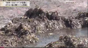 ゴミ問題,フィリピン,日本企業,マイクロプラスチック